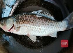 番茄鲫鱼豆腐汤的做法图解4