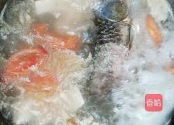 番茄鲫鱼豆腐汤的做法图解6
