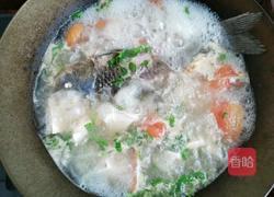 番茄鲫鱼豆腐汤的做法图解7