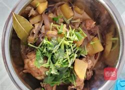 土豆炖鸡块的做法图解6