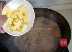 土豆炖鸡块的做法图解5