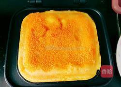 轻飞曼舞的做法图解13