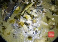 家常酸菜鱼的做法图解13
