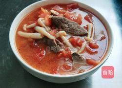 猪肝炖番茄的做法图解8