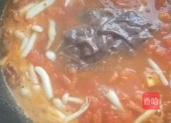 猪肝炖番茄的做法图解7