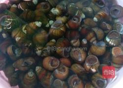 爆炒田螺的做法图解2