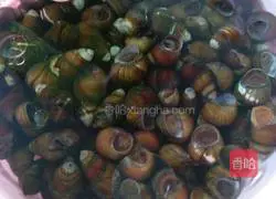 Illustration of how to stir-fry snails 2