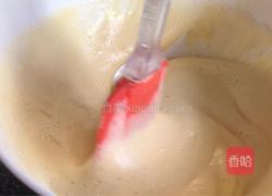 斑马纹戚风蛋糕的做法图解11