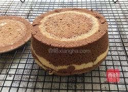 斑馬紋戚風(fēng)蛋糕的做法圖解21