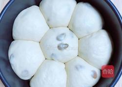 酒酿葡萄干面包的做法图解15