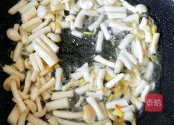 菌菇豆腐汤的做法图解5