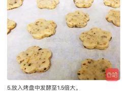 宝宝辅食——坚果碎司康饼干的做法图解5