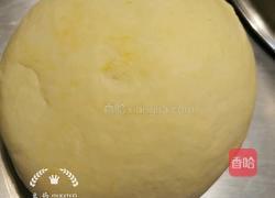 小企鹅馒头的做法图解4