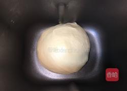 麻花椰蓉包的做法图解6