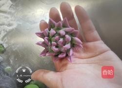 多肉馒头的做法图解7