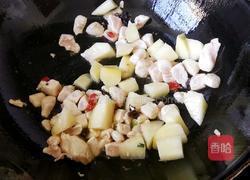 土豆番茄烧鸡胸肉的做法图解4