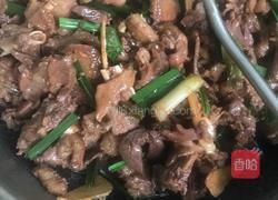 正宗清远味：焖乌鬃鹅的做法图解5