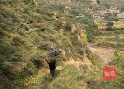 沙棘汁的做法图解1