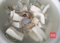 花蛤豆腐汤的做法图解7