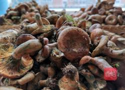 姜姜雁来蕈的做法图解1