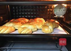 麻花椰蓉包的做法图解20