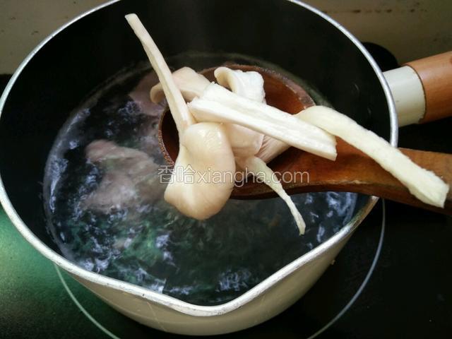 平菇