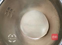 鸡胸肉披萨的做法图解3