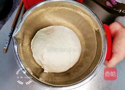 韭菜鸡蛋粉条水煎包的做法图解1