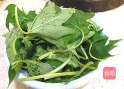 炒红薯叶的做法图解1