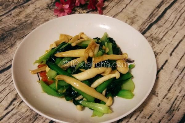 海鲜菇炒青菜