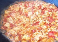 番茄鸡蛋玉米面条的做法图解3