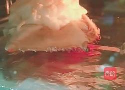 芙蓉蟹斗的做法图解11