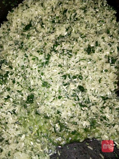 锅中倒适量油，放入已打好的蛤蒌叶和已洗净的米，翻炒致八分熟，加入少许盐