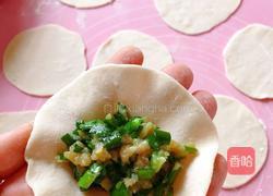 韭菜猪肉饺子的做法图解8