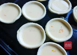 原味蛋挞的做法图解5