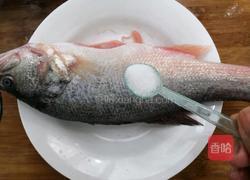 清蒸鲈鱼的做法图解2