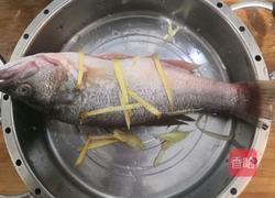 清蒸鲈鱼的做法图解5