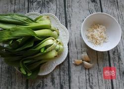 虾皮炝油菜的做法图解1