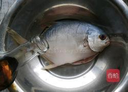 酱烧银鲳鱼的做法图解7