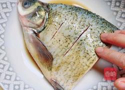 茄汁鱼头煲的做法图解3