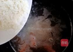 鲜虾粥的做法图解6