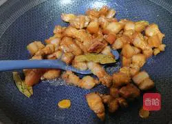 Braised Pork Recipe Illustration 8