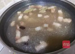 Illustration of braised pork recipe 9