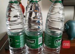 发海参的做法图解2