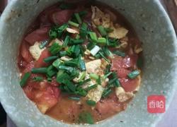 番茄鸡蛋面的做法图解5