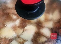 土豆炖鸡块的做法图解8
