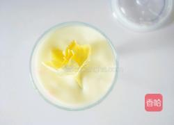 蔓越莓口味酸奶饮的做法图解4