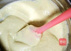 宝宝辅食——奶香苹果饼的做法图解4