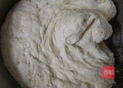 黄金大饼的做法图解5