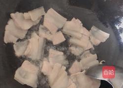 猪肉白菜土豆炖粉条的做法图解5